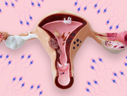 Lakukan 8 Cara Ini untuk Menjaga Kesehatan Reproduksi Wanita, Dijamin Mudah Hamil