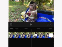 Raup Puluhan Juta Rupiah Tiap Bulan, YouTuber Asal Pamekasan Ini Bocorkan Aplikasi Edit Video di Android, Cocok Bagi Para YouTuber