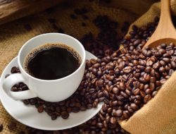 5 Falsafah Kopi, Kamu yang Mana?