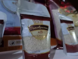 Resmi! Perum Bulog Kenalkan Beras Premium Merek Punokawan kepada Masyarakat