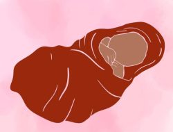 Hendak Salat, Warga Tuban Temukan Bayi di Teras Musala