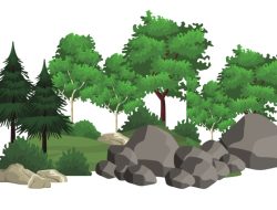 Ketika Batu dan Pohon Bicara