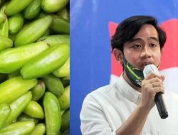Istilah “Belimbing Sayur”, Julukan Netizen untuk Gibran