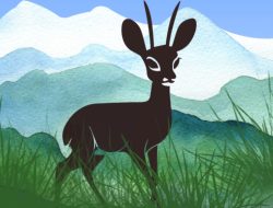 Dik-Dik Binatang Kerdil