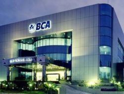 BCA Buka Lowongan Pekerjaan Bagi Fresh Graduate dan Magister, Cek Syarat dan Cara Melamarnya!