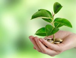 Investasi Hijau: Peluang Emas untuk Ekonomi dan Lingkungan Indonesia