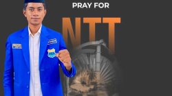 PMII Tuduh Aparat NTT Brutal, Pemprov Dinilai Tutup Telinga terhadap Aspirasi Rakyat