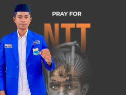 PMII Tuduh Aparat NTT Brutal, Pemprov Dinilai Tutup Telinga terhadap Aspirasi Rakyat